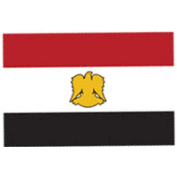 Egyptian Forces